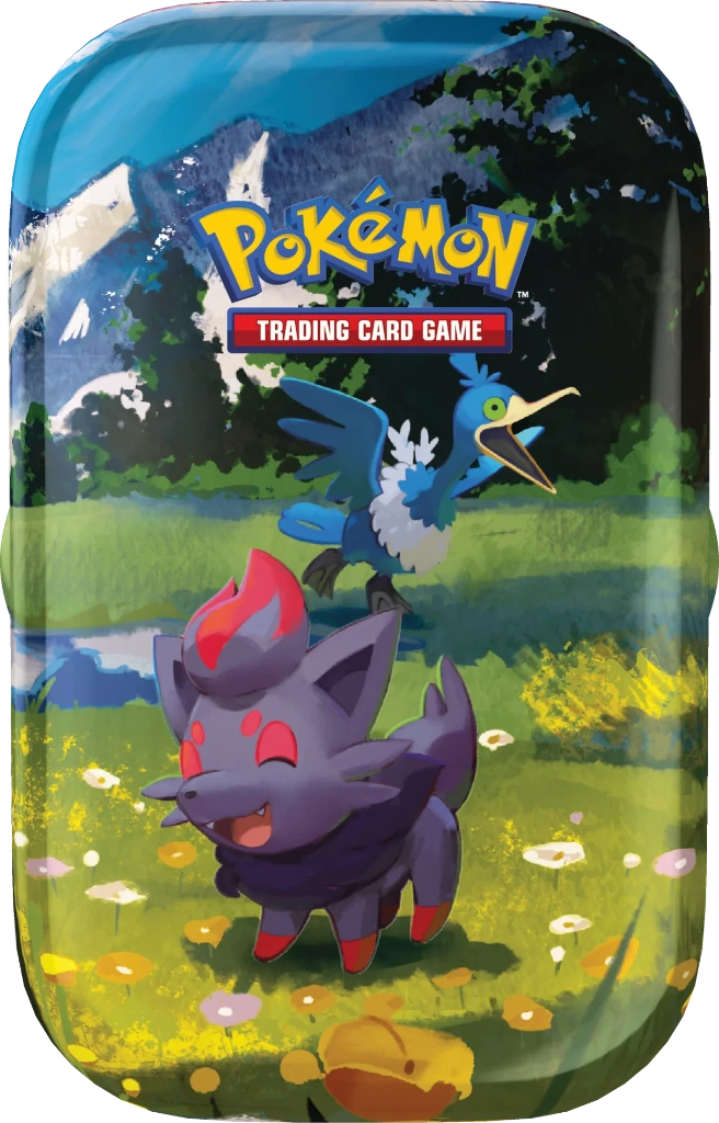 Pokémon : Mini Pokébox Mini Tin Q1 2026 : Zorua