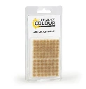 Citadel Colour : Tufts Mordian Corpsegrass