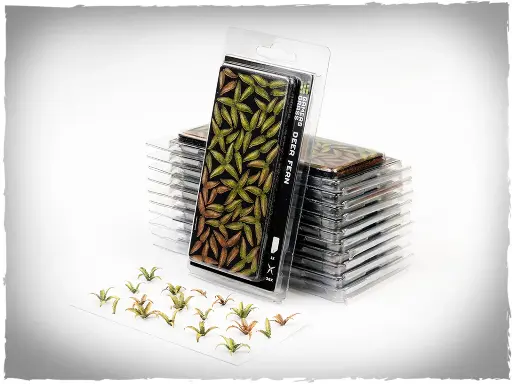 Gamers Grass : Deer Fern