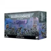 Grey Knights : Escouade d'incursion